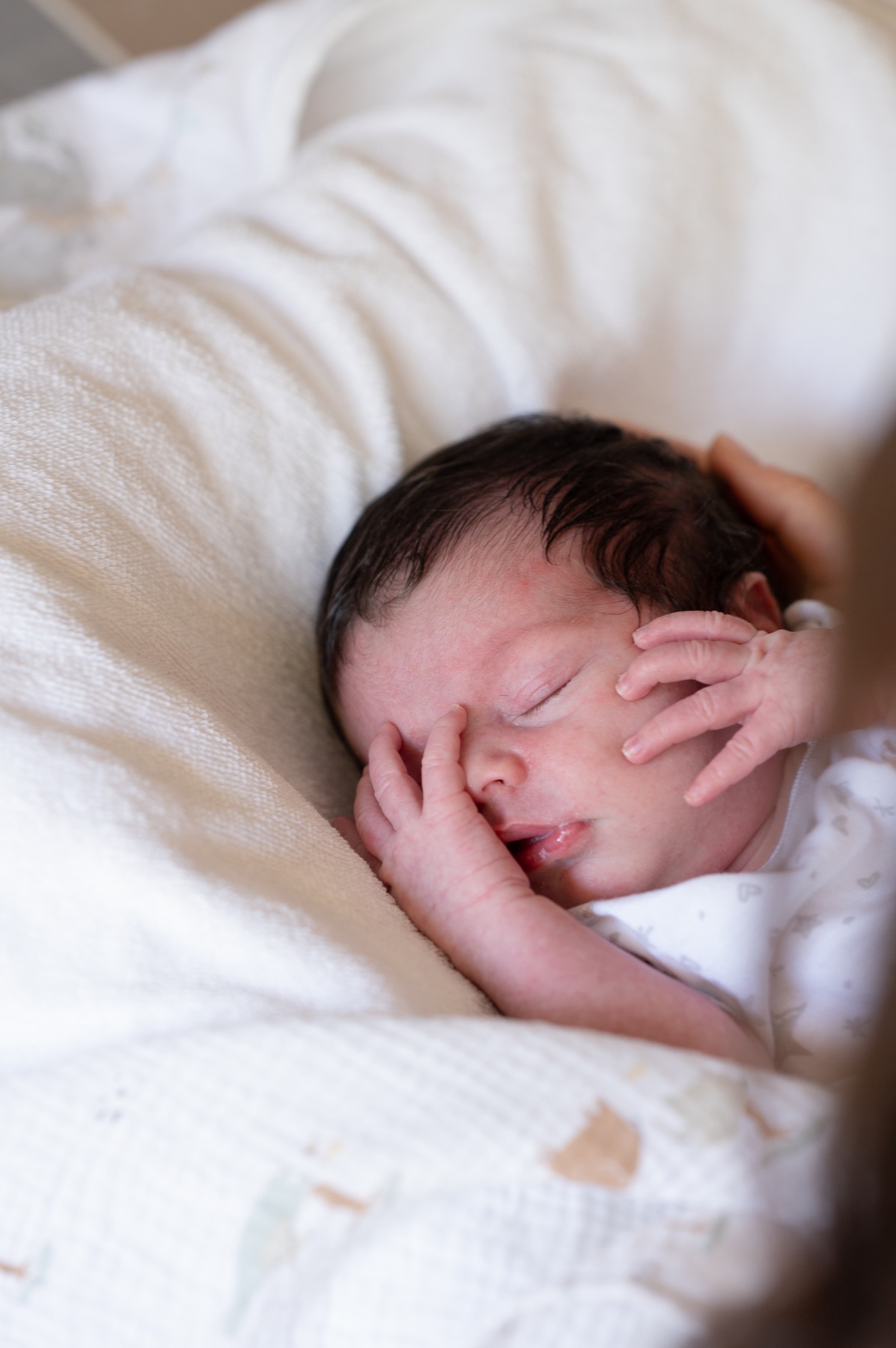 Bain de naissance et gestes tendres