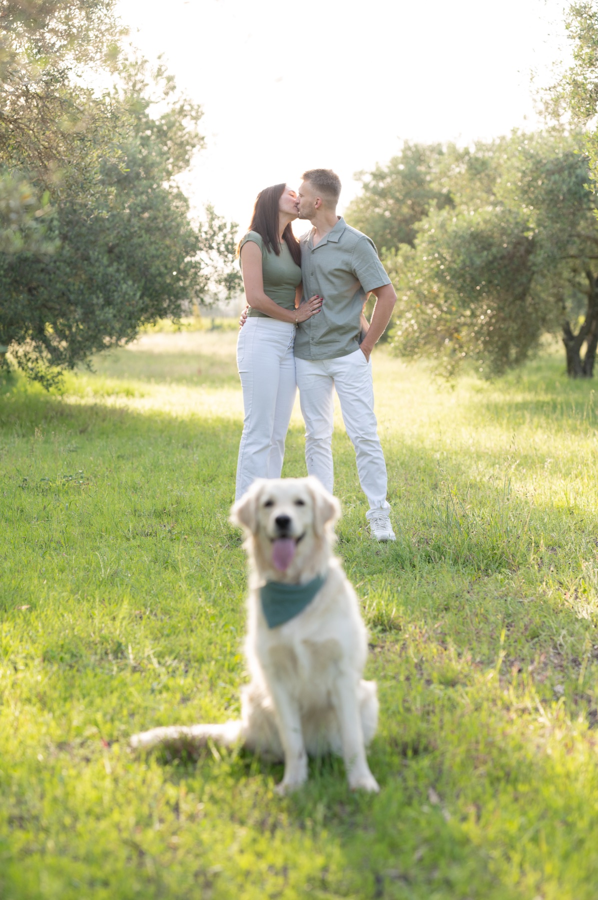 Un couple et son chien dans une oliveraie